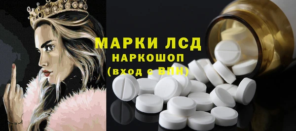 прущие грибы Абинск
