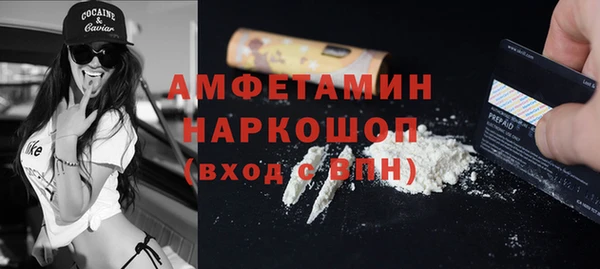прущие грибы Абинск