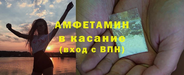 прущие грибы Абинск