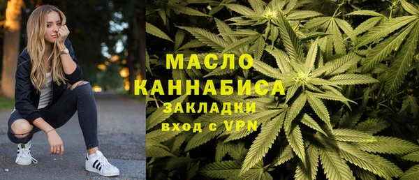 дмт Алексин