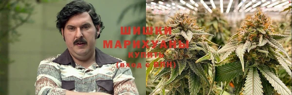 прущие грибы Абинск