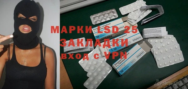 прущие грибы Абинск
