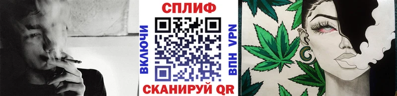 MEGA сайт купить цена Кинешма Бошки Шишки сатива